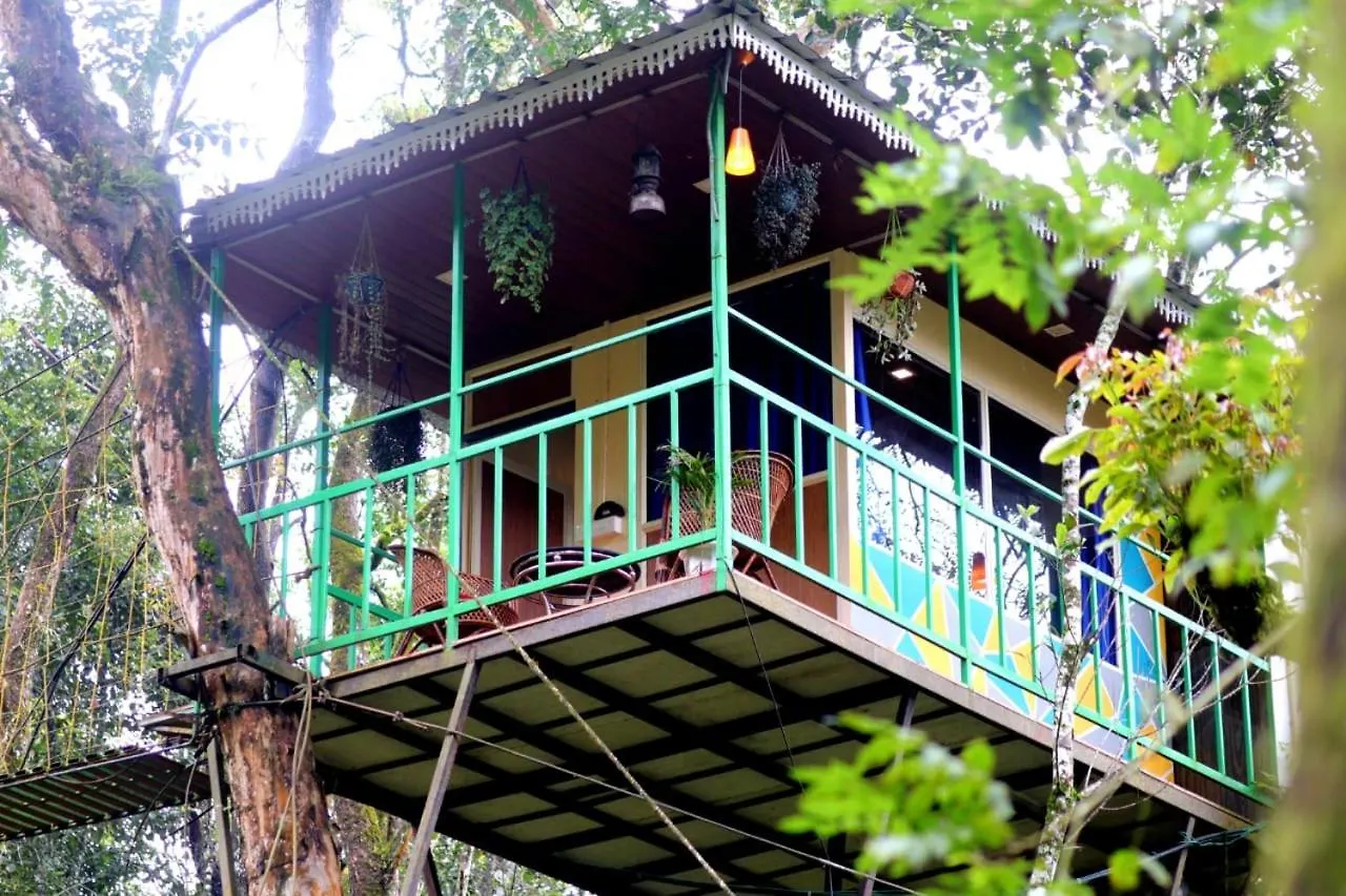 Silver Trees Tree House Hotel Munnar Campingplads