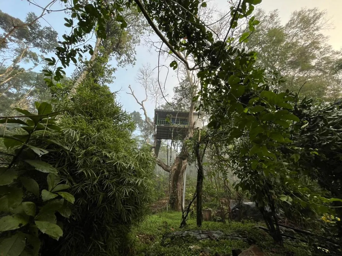 Silver Trees Tree House Hotel Munnar 0*,  Indien