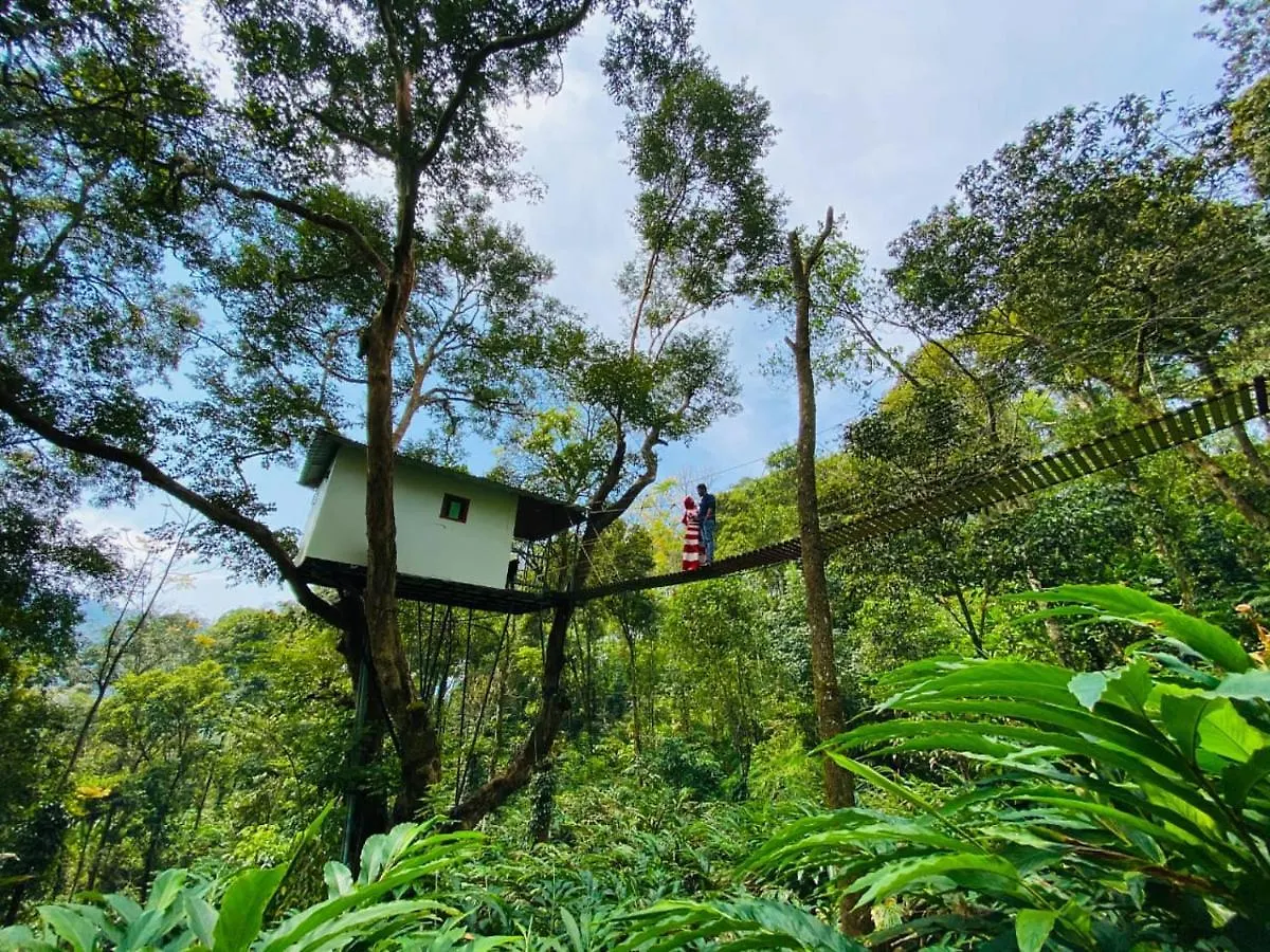 Silver Trees Tree House Hotel Munnar 0*,  India