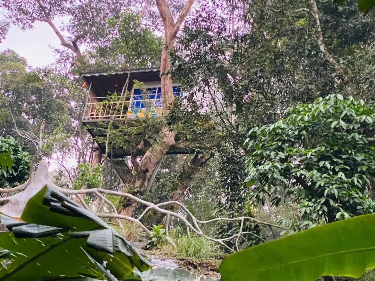 Silver Trees Tree House Otel Munnar Kamp alanı