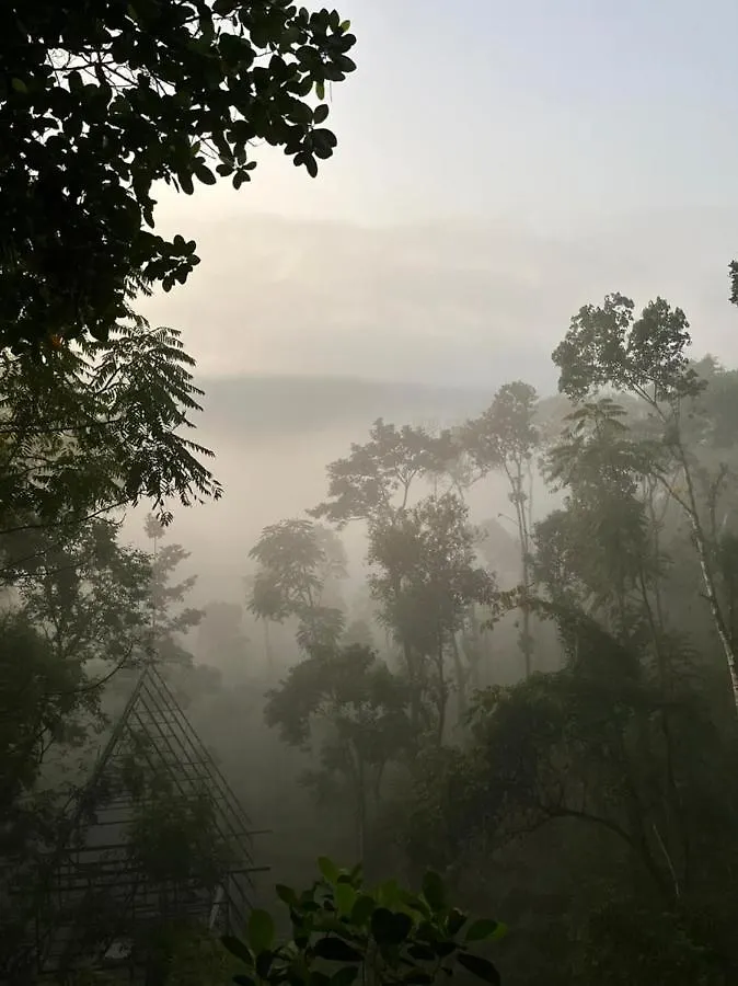 Campsite Silver Trees Tree House Hotel Munnar India
