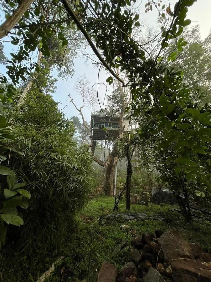 Silver Trees Tree House Otel Munnar