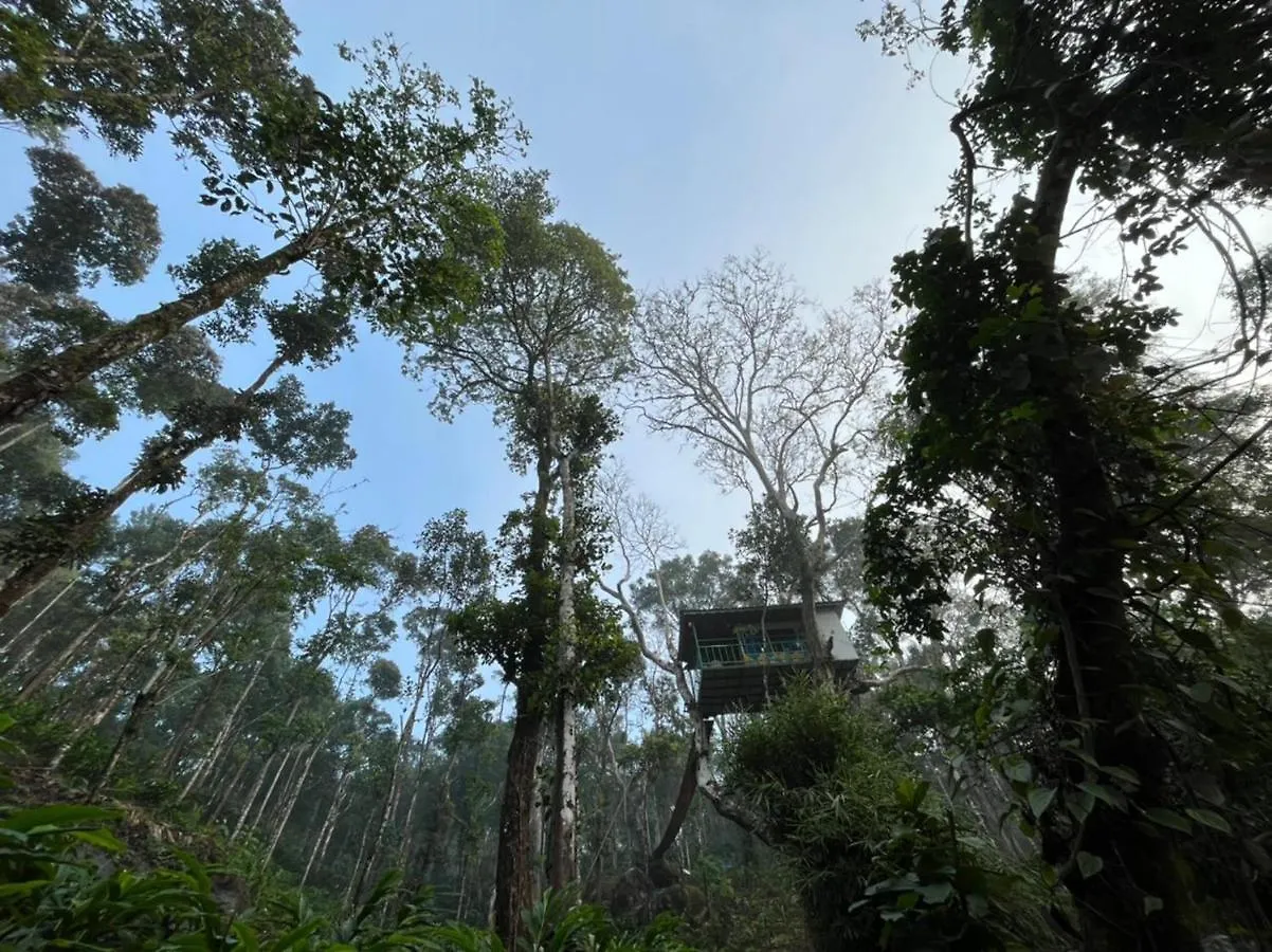 Campsite Silver Trees Tree House Hotel Munnar