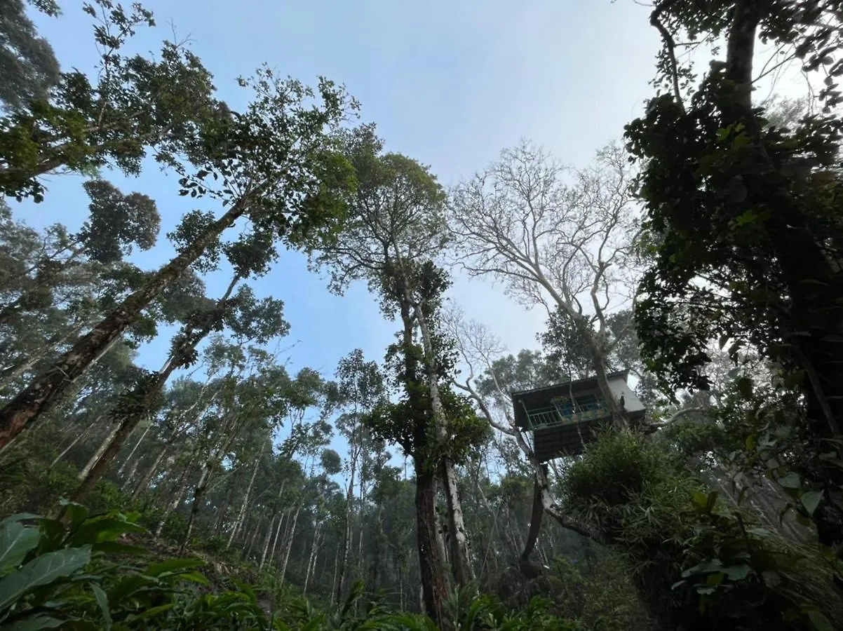 Silver Trees Tree House Otel Munnar Hindistan