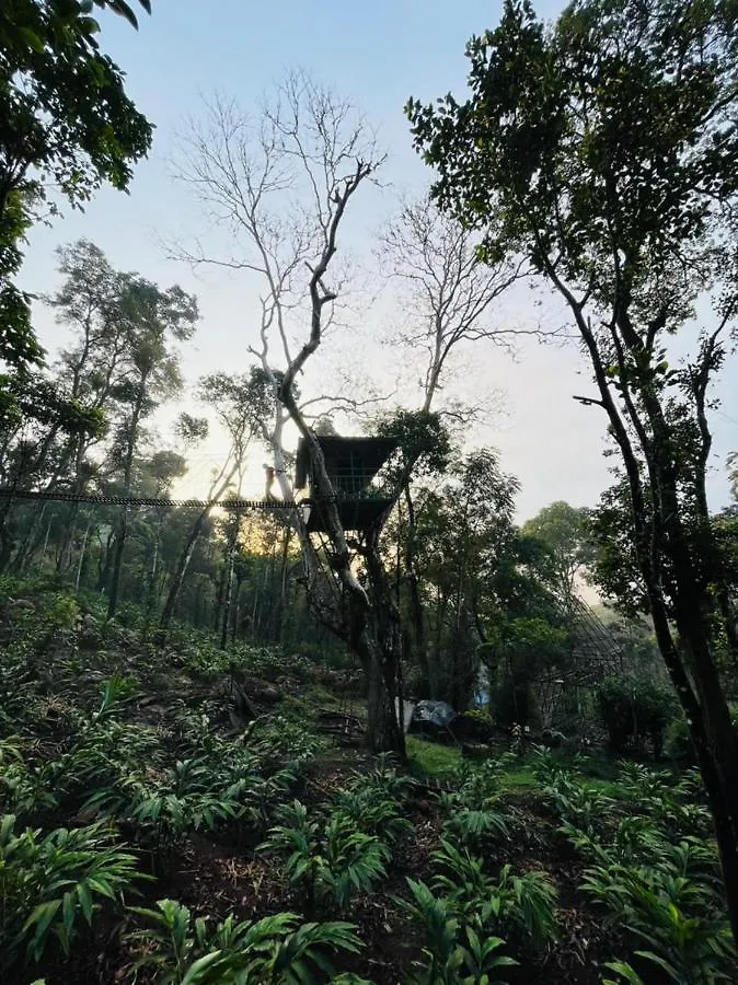 Kamp alanı Silver Trees Tree House Otel Munnar