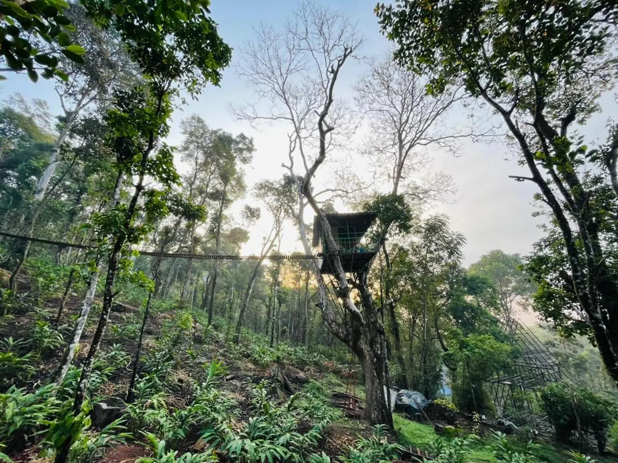 Silver Trees Tree House Hotel Munnar Campsite