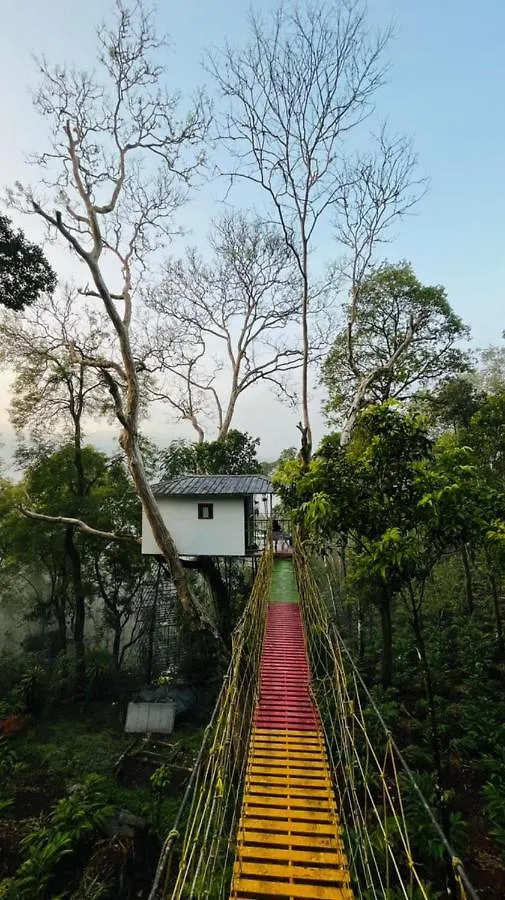 Campsite Silver Trees Tree House Hotel Munnar India