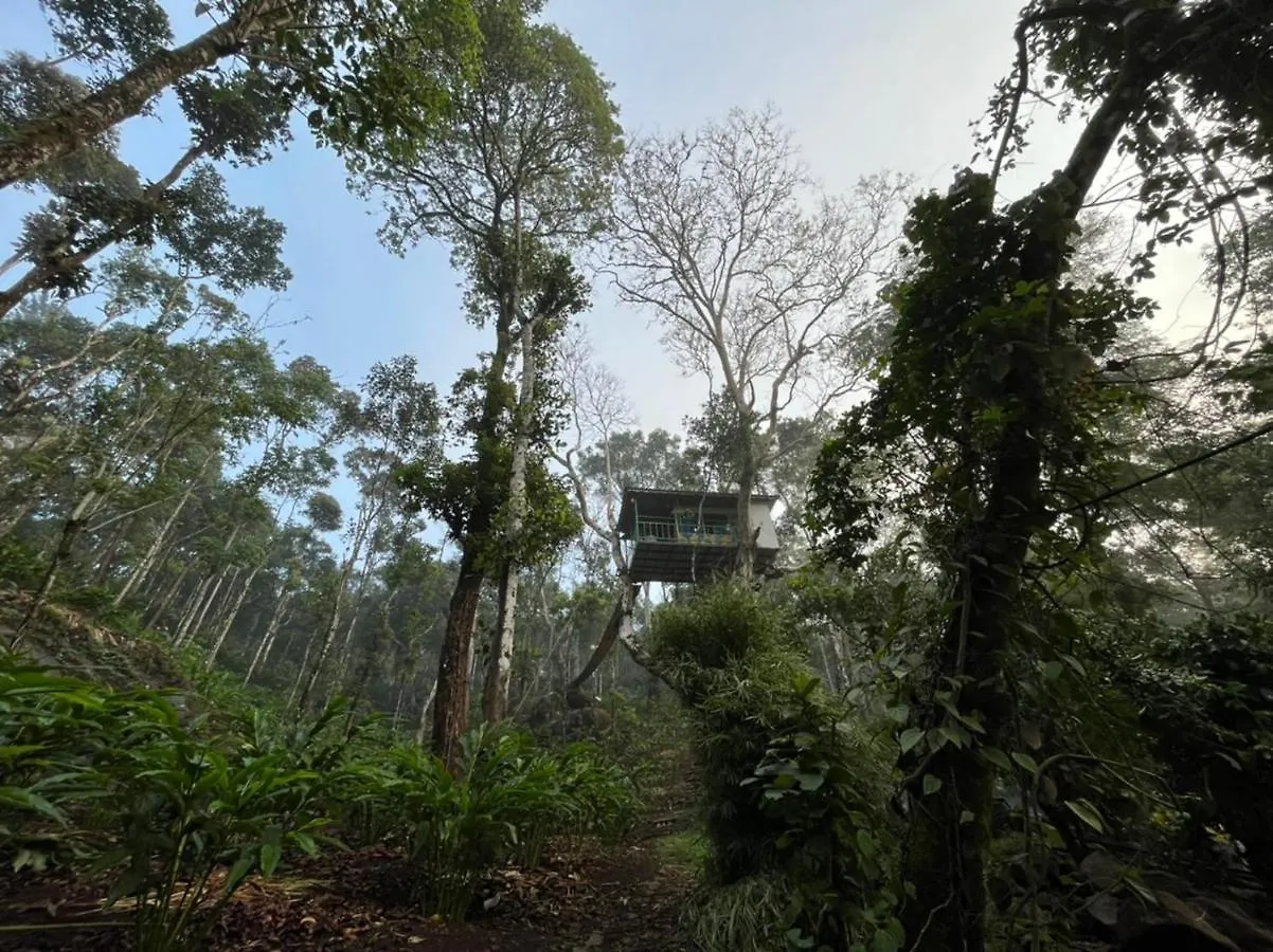 Kamp alanı Silver Trees Tree House Otel Munnar Hindistan