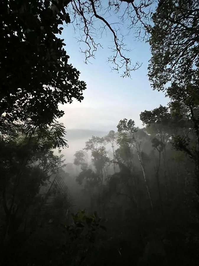 Silver Trees Tree House Hotel Munnar 0*,