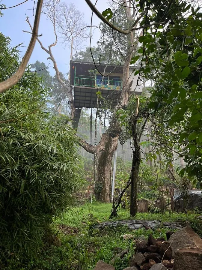 Silver Trees Tree House Hotel Munnar Campsite