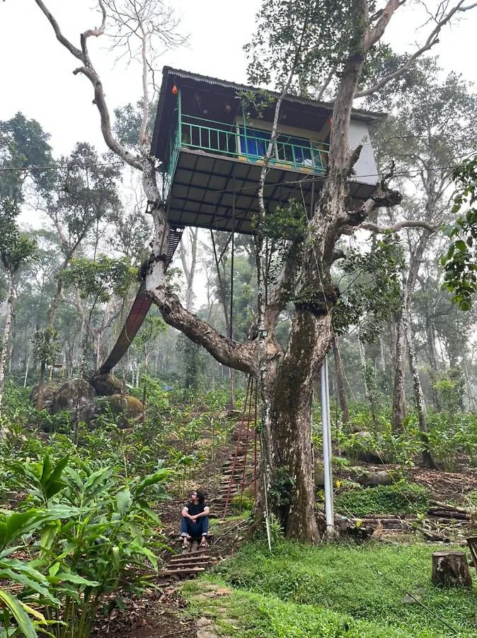Silver Trees Tree House Otel Munnar