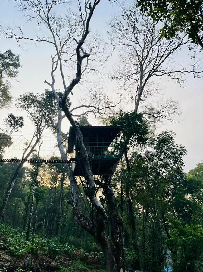 Silver Trees Tree House Otel Munnar Hindistan
