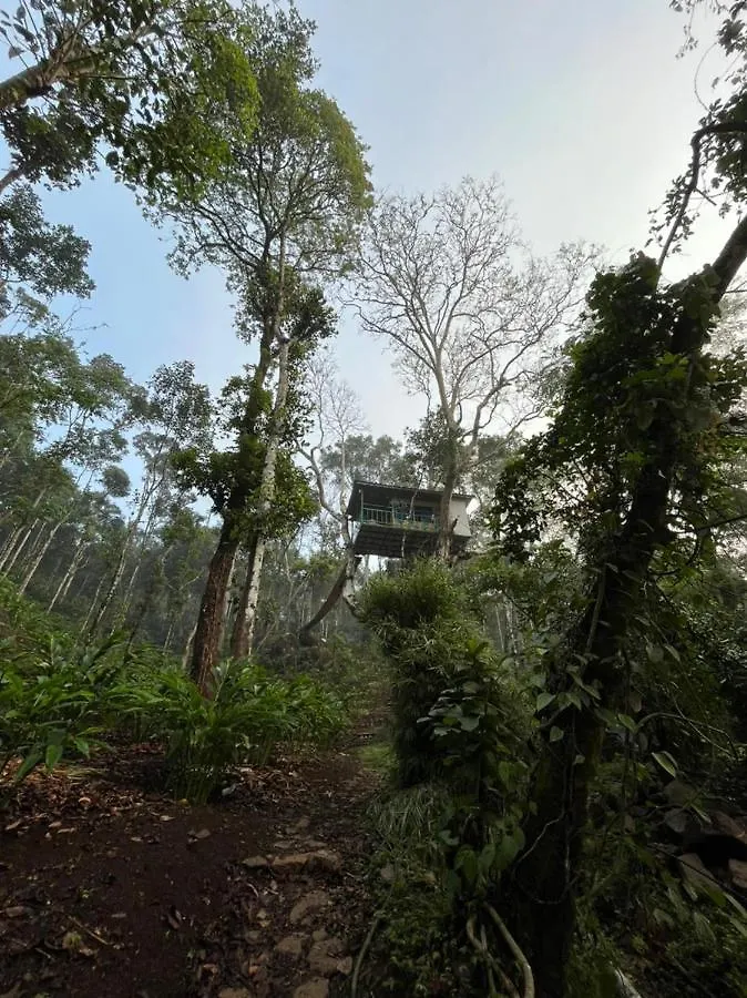 Silver Trees Tree House Otel Munnar 0*,  Hindistan